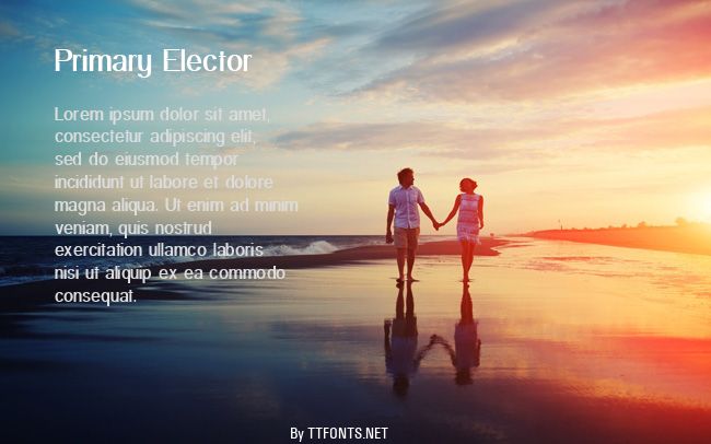 Primary Elector example